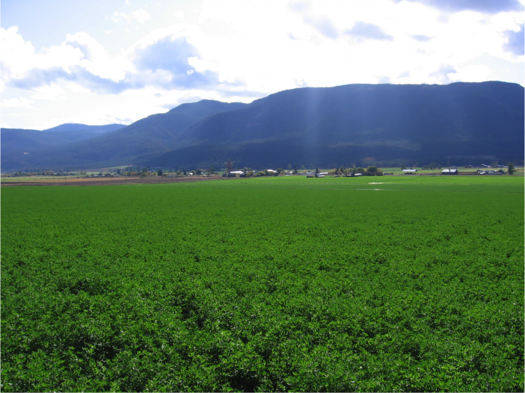 Okanagan Valley, Appraisal